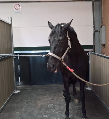Salle de soin – Douche