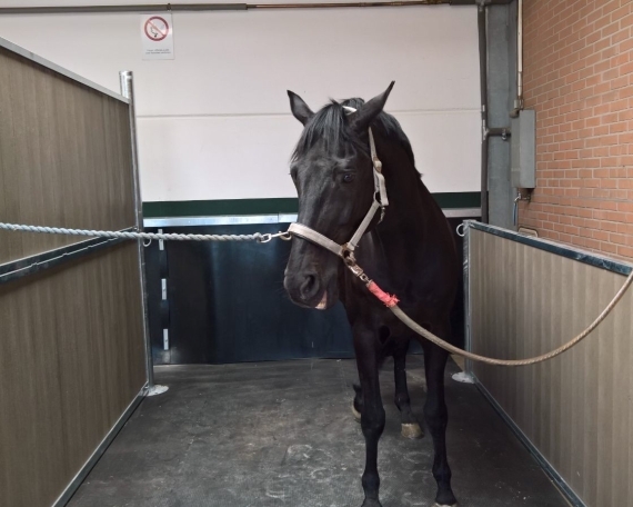 Salle de soin – Douche