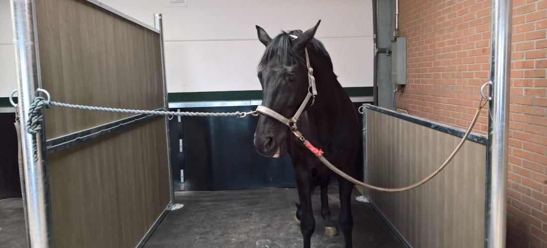 Salle de soin – Douche